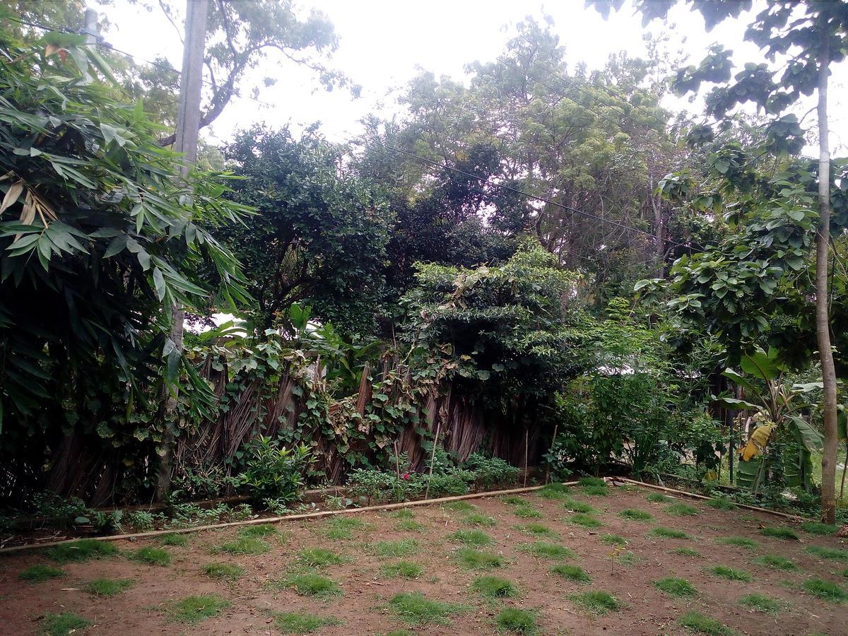 Thuruliya Residence Sigiriya Exterior foto